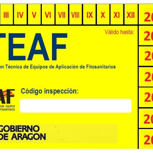 inspeccion ITEAF